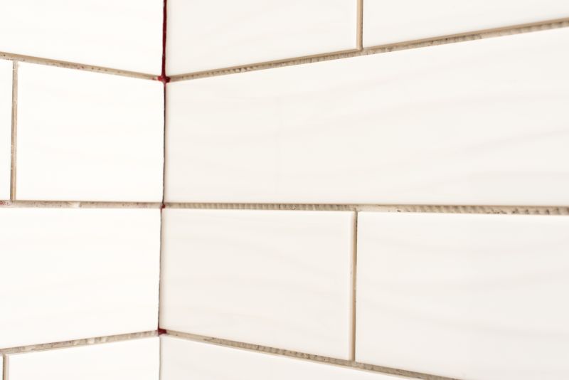 Freshly Cleaned Grout